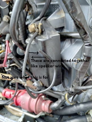 1985 evinrude.jpg