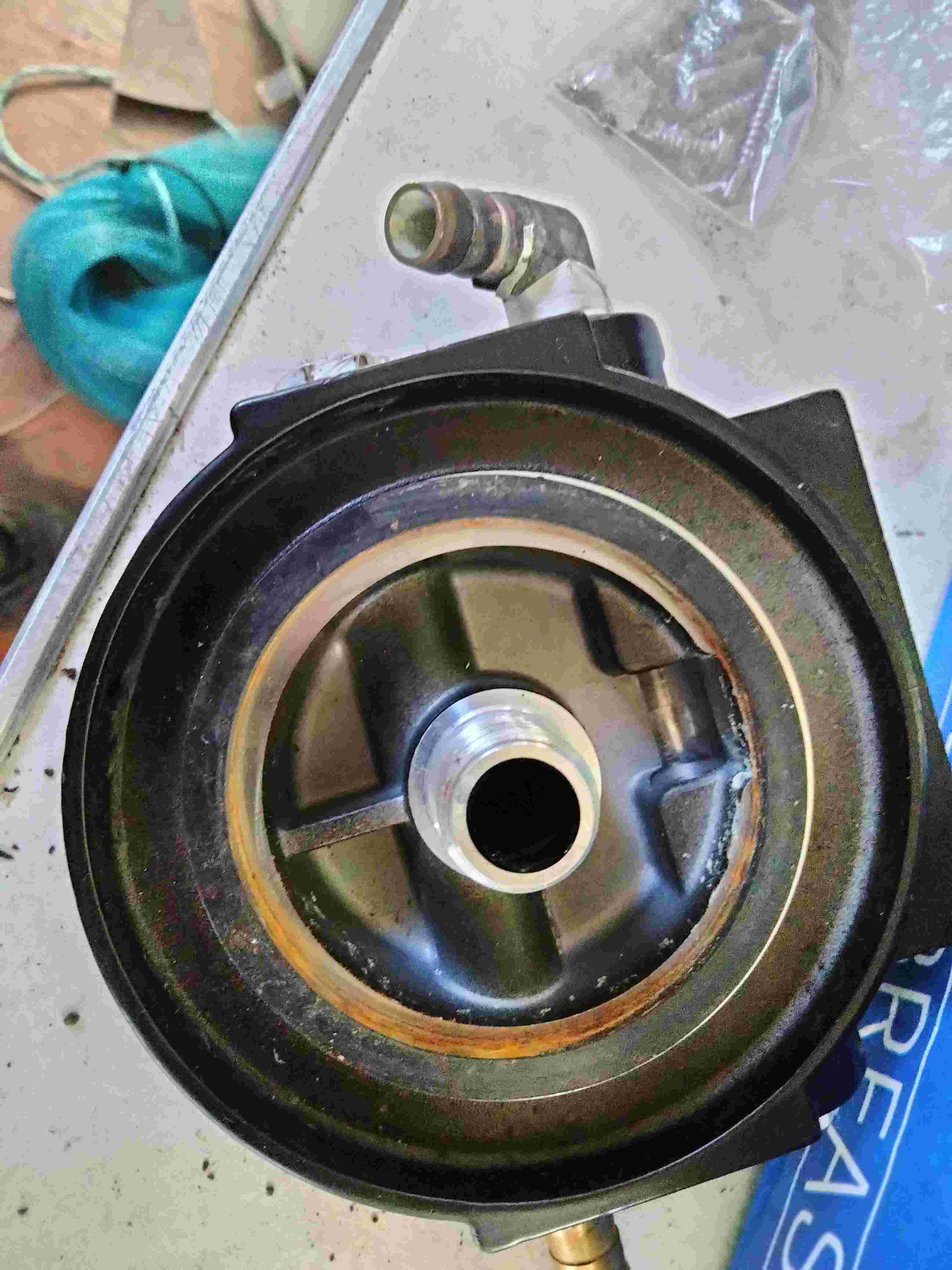 3213 head w 18 7944 gasket.jpg