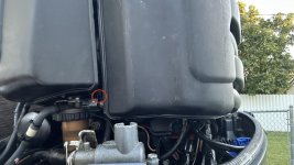 IMG_5378.jpeg