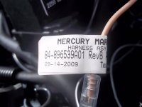 merc3.jpg