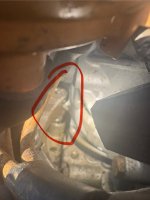 IMG_1053.jpeg