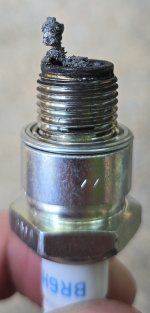 20250622_135751.jpg