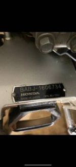 IMG_5296.jpeg