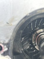 IMG_6150 (Small).jpeg