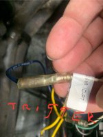 IMG_0895.jpeg