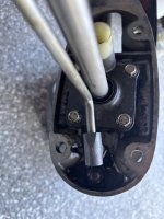 IMG_9523.jpeg
