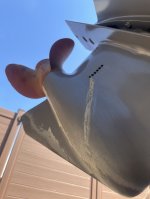 Untitled17.jpg